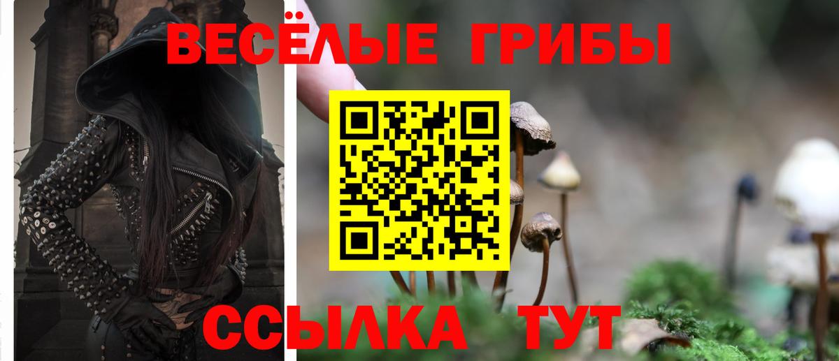 Псилоцибиновые грибы MAGIC MUSHROOMS Симферополь